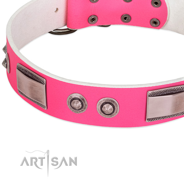 Fine quality leather collar with decorations for your four-legged friend