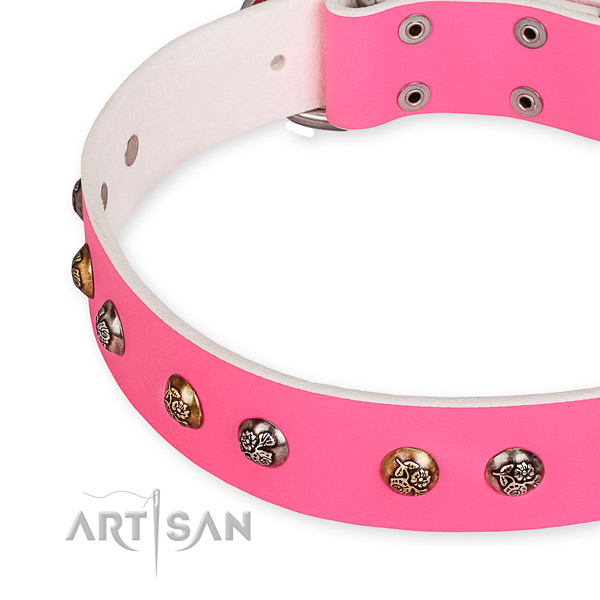 Full grain natural leather dog collar with stylish strong embellishments