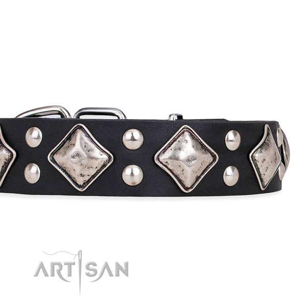 Full grain natural leather dog collar with stylish strong embellishments