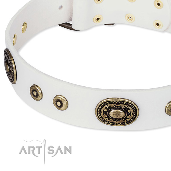 Full grain natural leather dog collar made of quality material with studs