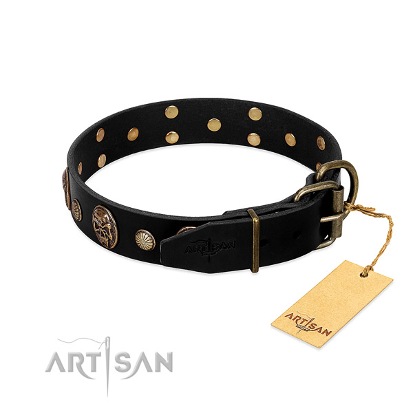 Rust resistant fittings on full grain natural leather collar for stylish walking your dog