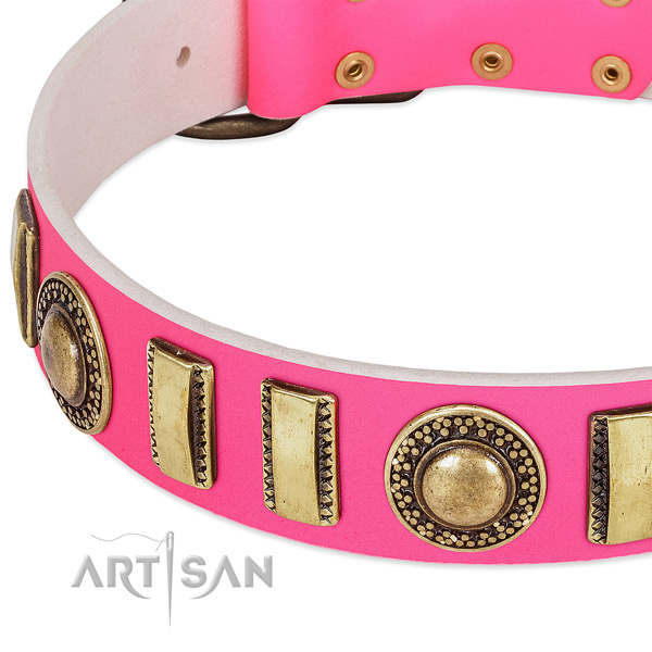 Reliable leather dog collar for your impressive pet