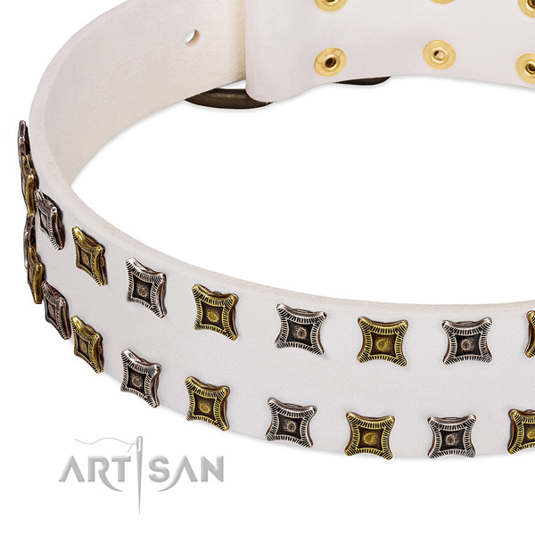 Durable natural leather dog collar for your handsome doggie