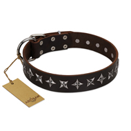 "Stars of Glory" FDT Artisan Brown Leather Siberian Husky Collar for Comfortable Walking