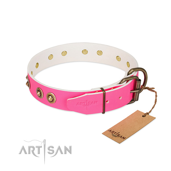 Genuine leather dog collar with strong fittings and decorations