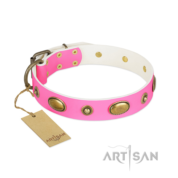 Comfortable leather collar for your pet