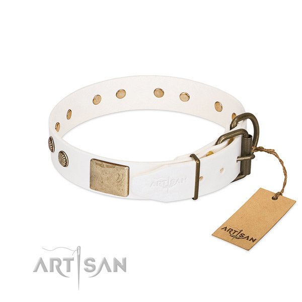 Corrosion resistant hardware on handy use dog collar