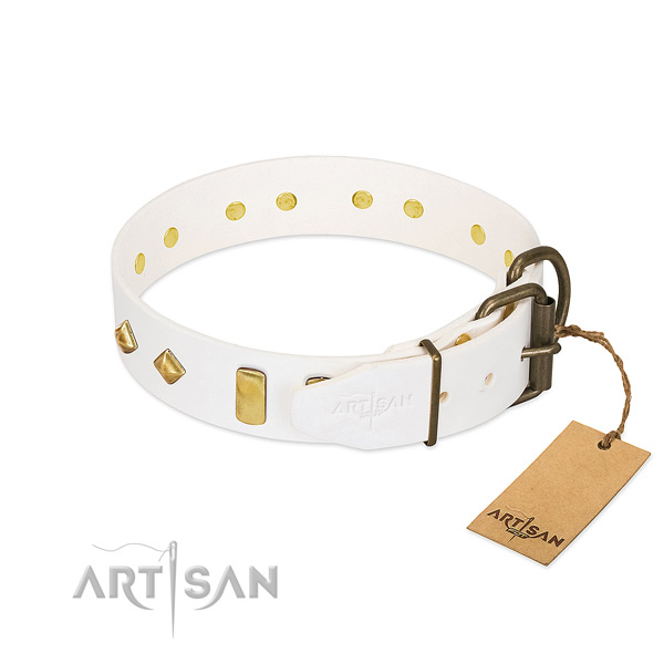 Reliable full grain leather dog collar with corrosion resistant buckle