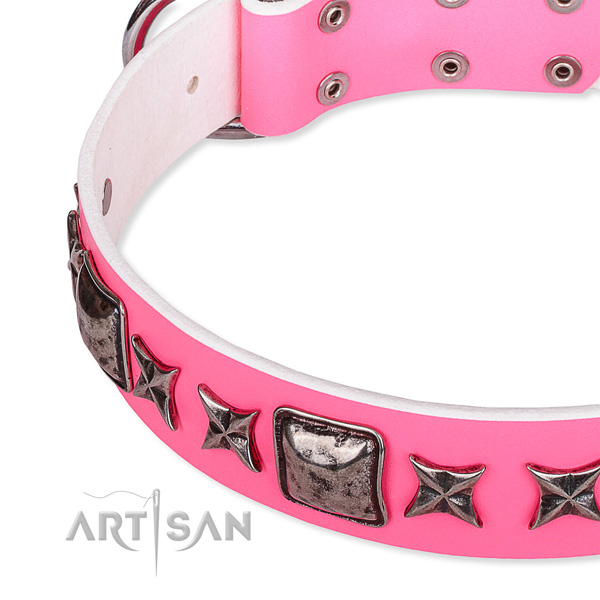 Daily use decorated dog collar of top quality full grain genuine leather