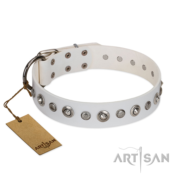 Quality leather dog collar with stylish design studs