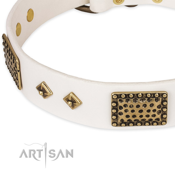 Durable fittings on leather dog collar for your dog