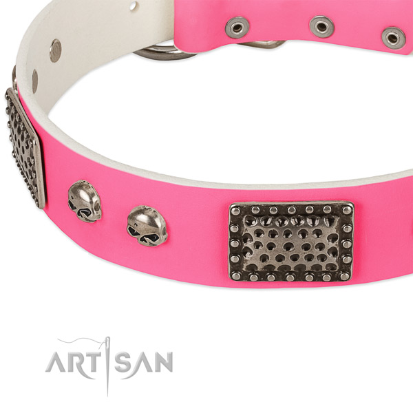 Strong adornments on full grain leather dog collar for your dog