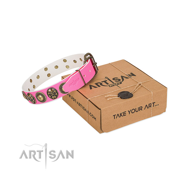 Rust-proof traditional buckle on dog collar for walking