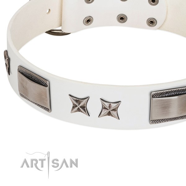 Soft leather dog collar with rust-proof fittings