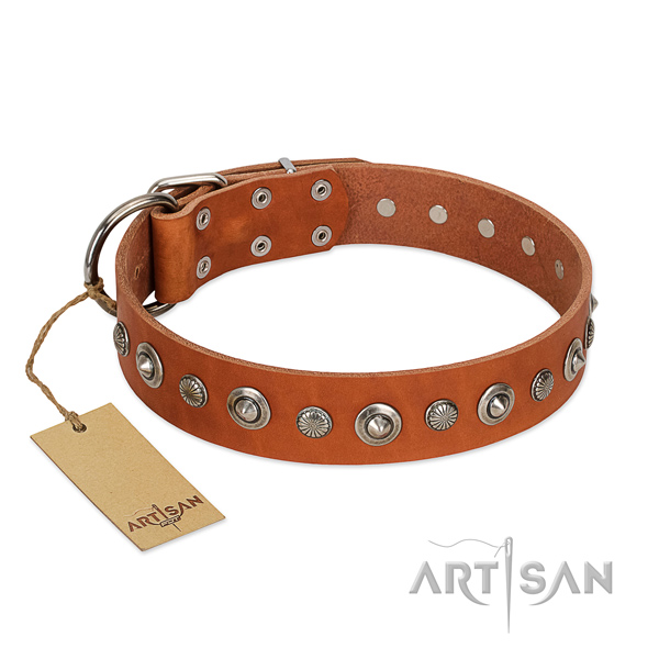 Top quality natural leather dog collar with extraordinary adornments