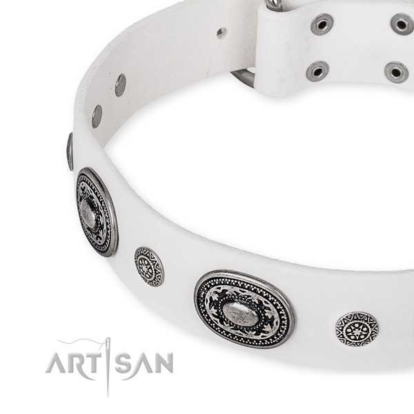 High quality full grain leather dog collar created for your lovely dog
