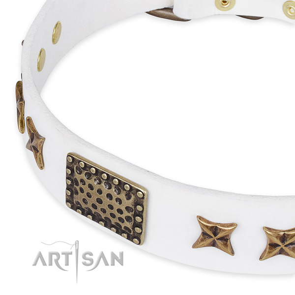 Full grain leather collar with rust resistant traditional buckle for your beautiful dog