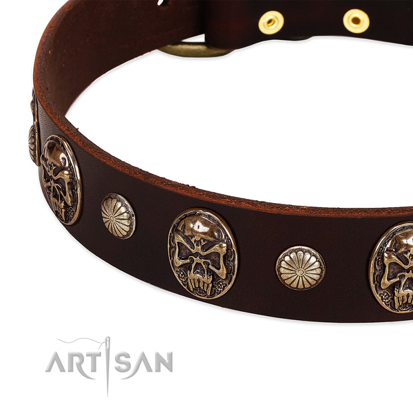 Full grain natural leather dog collar with adornments for everyday use