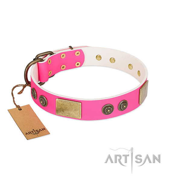 Decorated full grain genuine leather dog collar for handy use