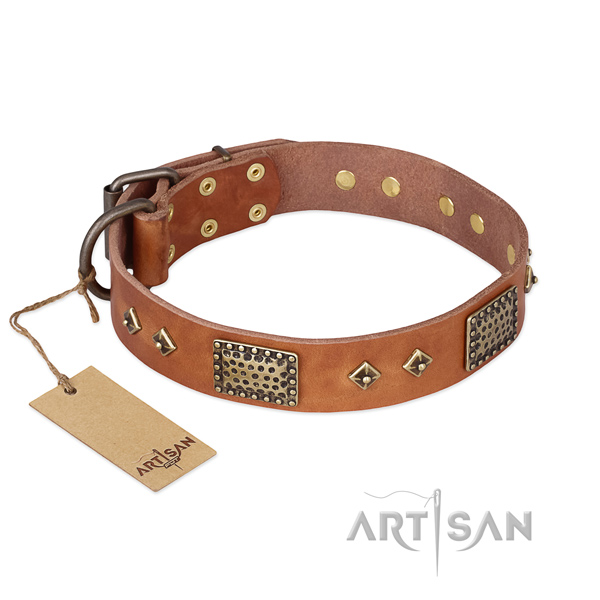 Unique full grain natural leather dog collar for everyday use