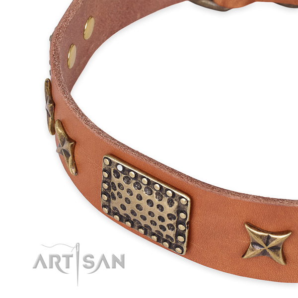 Leather collar with rust-proof buckle for your beautiful four-legged friend