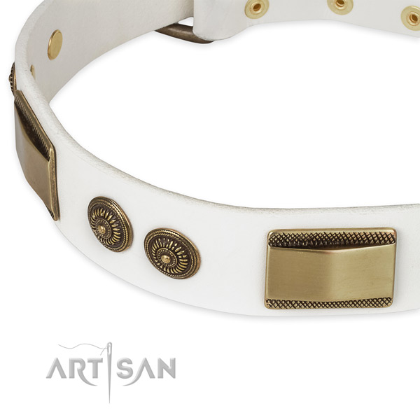 Corrosion resistant D-ring on leather dog collar for your four-legged friend