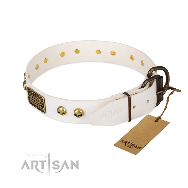 Easy to adjust leather dog collar for daily walking your canine