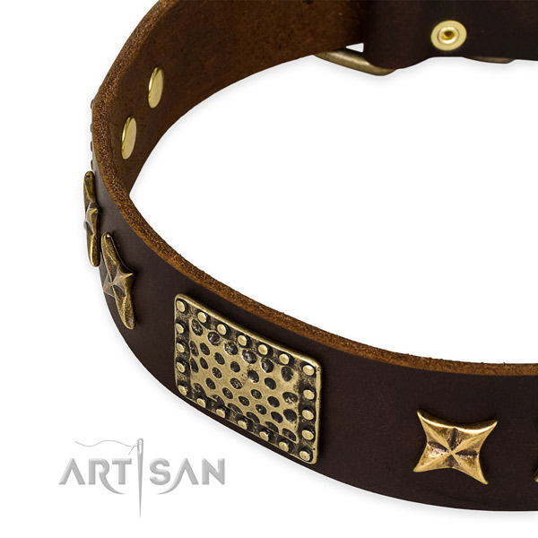 Full grain genuine leather collar with rust resistant hardware for your attractive four-legged friend