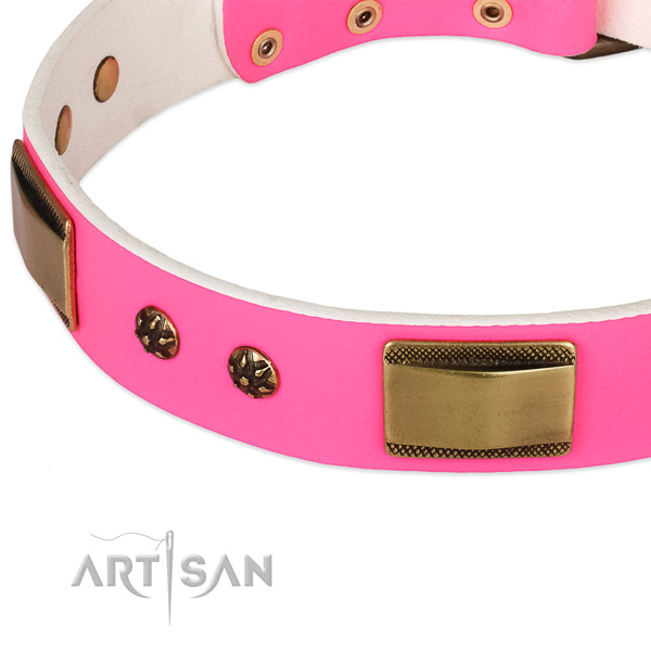 Corrosion proof adornments on full grain genuine leather dog collar for your canine