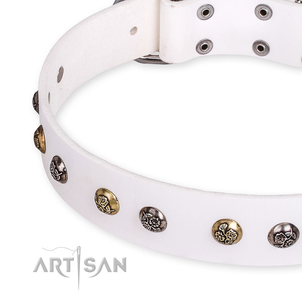 Full grain genuine leather dog collar with designer rust resistant adornments