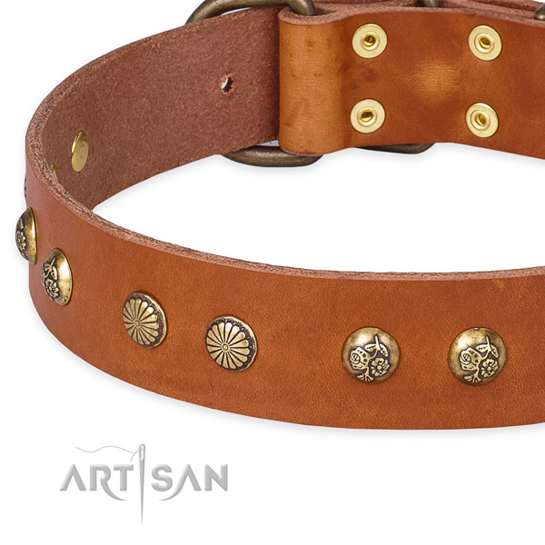 Leather collar with durable fittings for your attractive doggie