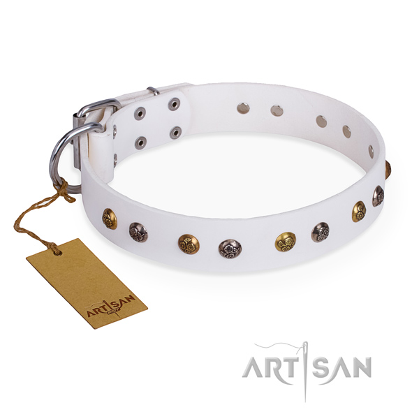 Everyday walking amazing dog collar with corrosion resistant D-ring