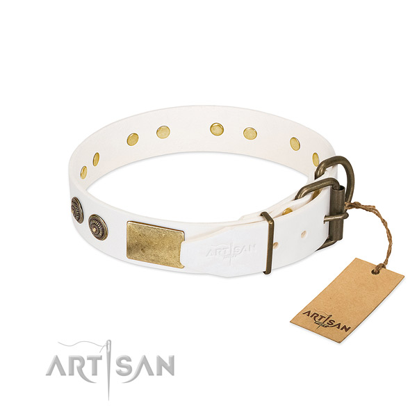 Corrosion proof buckle on natural genuine leather collar for fancy walking your dog