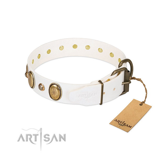 Comfy wearing full grain leather dog collar