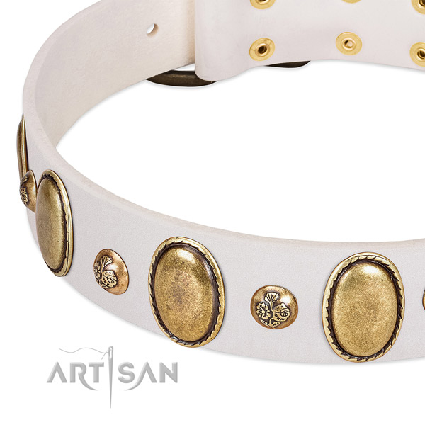 Leather dog collar with trendy embellishments