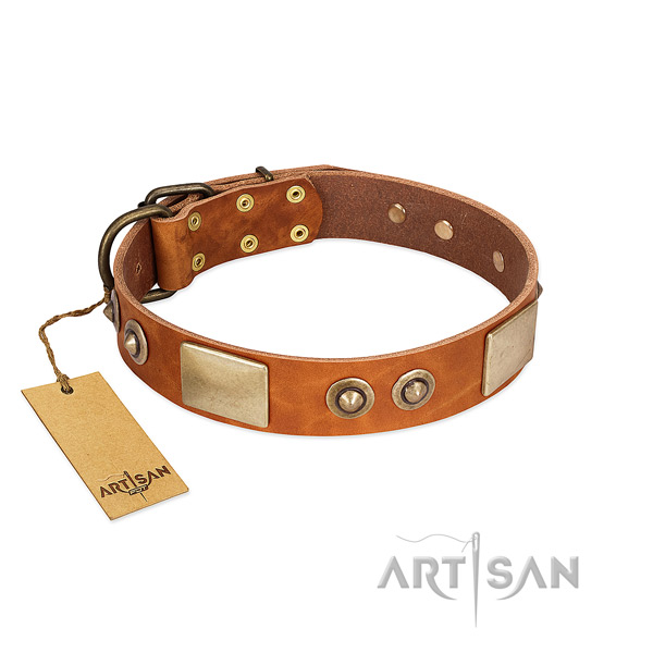 Adjustable genuine leather dog collar for walking your pet