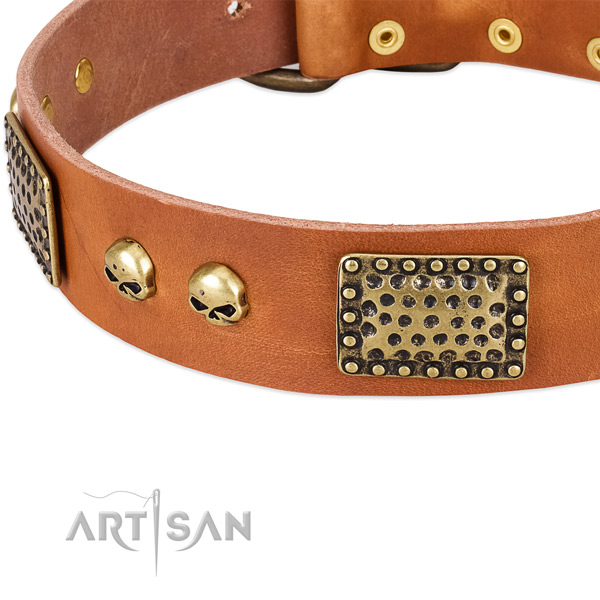 Durable D-ring on natural leather dog collar for your pet