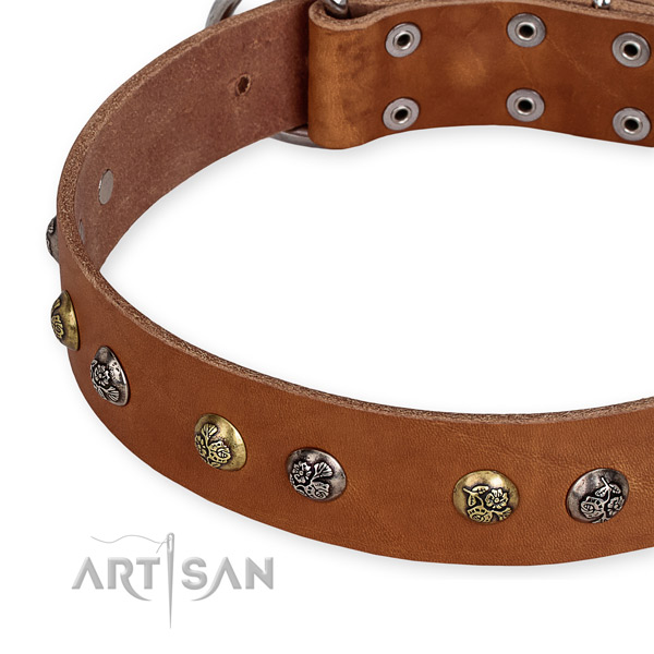 Natural genuine leather dog collar with top notch corrosion resistant embellishments