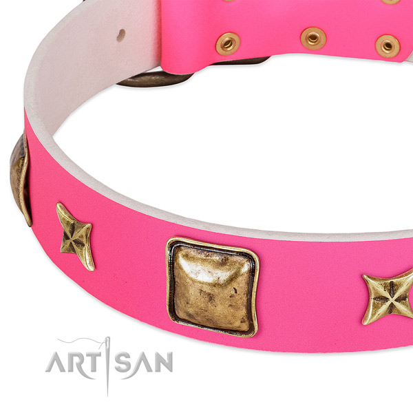 Full grain genuine leather dog collar with exceptional adornments