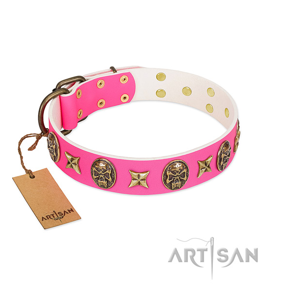 Full grain genuine leather dog collar with corrosion proof embellishments