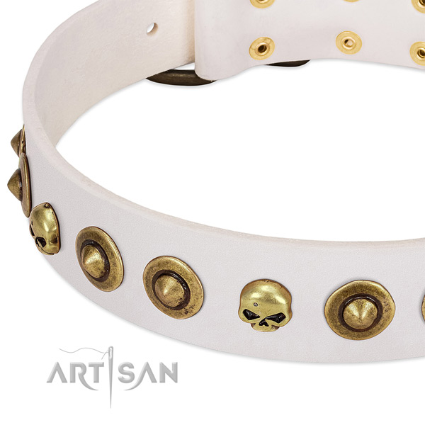 Stylish embellishments on full grain natural leather collar for your dog