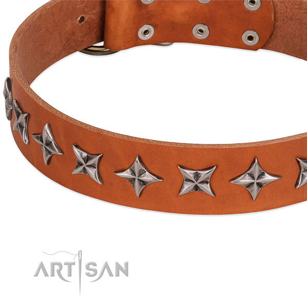 Fancy walking decorated dog collar of best quality full grain natural leather