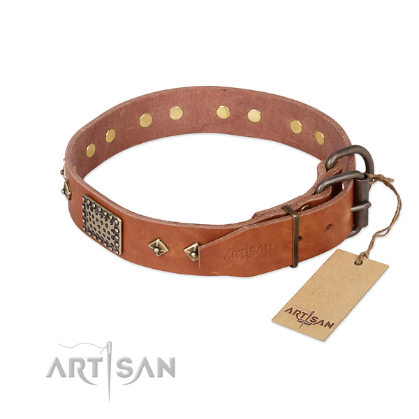 Full grain leather dog collar with rust-proof D-ring and studs