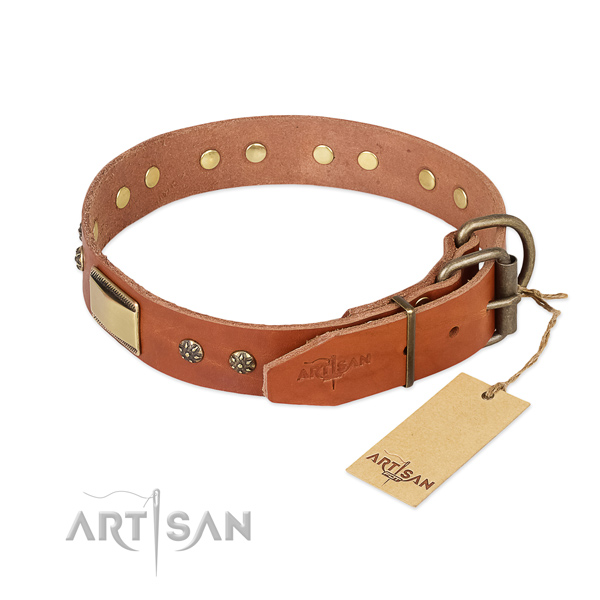 Leather dog collar with corrosion proof traditional buckle and embellishments