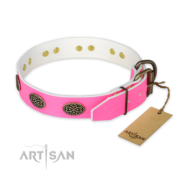 Daily walking full grain leather collar with adornments for your canine