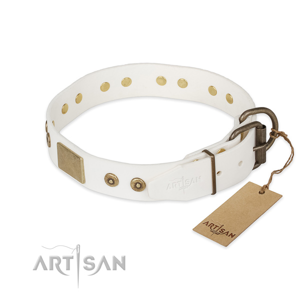 Natural leather dog collar with reliable D-ring and embellishments