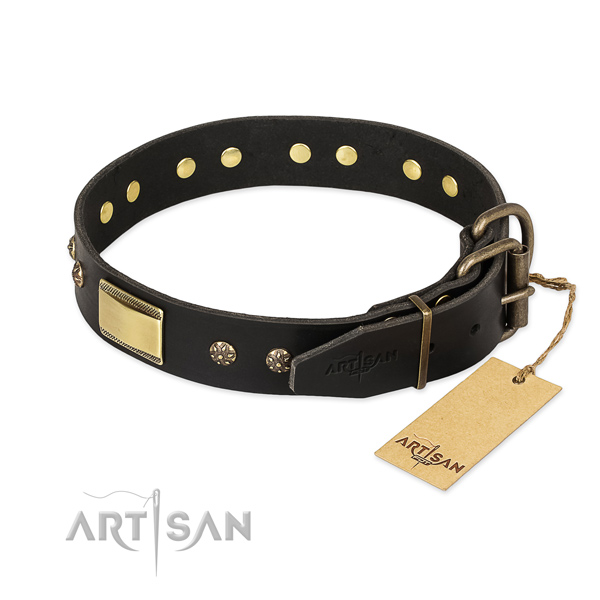 Natural leather dog collar with strong fittings and adornments