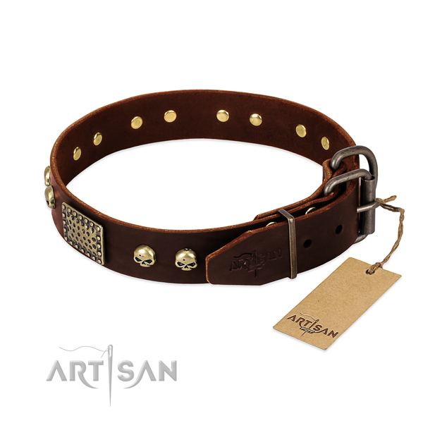 Rust-proof D-ring on easy wearing dog collar