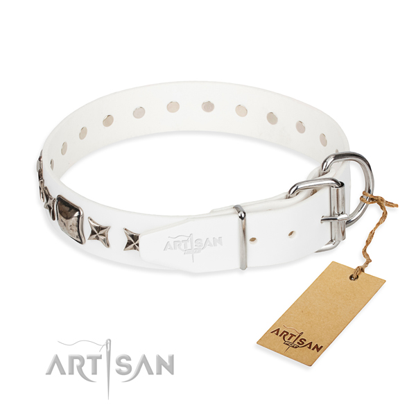 Quality studded dog collar of natural leather