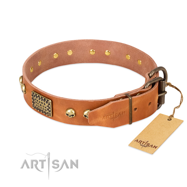 Corrosion resistant buckle on basic training dog collar